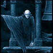 TheMagot